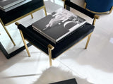 Interior Ave - Cuba Velvet Vanity Stool - Black V355-IA-O7-B