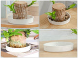 Worgeous Hydroponic Ceramic Tray Indoor Garden Pot Saucers Plant for Pots White V1189-LWWAL-20260327-03490