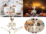 Life Size Posable Halloween Skeleton - 35" Realistic Human Skeleton with Movable Joints for Outdoor V1366-AZ2-W-16567
