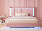 Levede King Single Floating Bed Frame With RGB LED Light Headboard USB Charge BF1062-KS-PK-AU