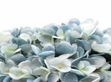 Premium Faux Hydrangea with Glass Vase 23cm V637-DP88015