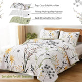 Decorative Quilted Coverlet and Pillowcases Set: Elevate Your Home Decor - Queen size V745-MAC080487Q13U