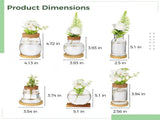 6PCS Plants Propagation Stations, Desktop Glass Propagation Vases with Wood Lid and Stand, V1192-AZ-W-18296
