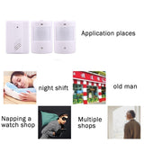 Wireless Electro Guard Watch System Kit - 1 Receiver & 2 Detectors PRL-6611CDM