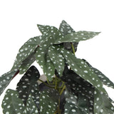 Artificial Bergonia Plant In Decorative Bowl 30cm V77-751890128
