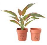 Set 2 Line Art Pot planters Assort 13cm V637-92061PLN