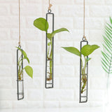 Set of 2 Glass Hanging with Iron Frame, Clear Indoor Plant , Decorative Wall-Mounted Pots for Home V1370-AZ4-11631