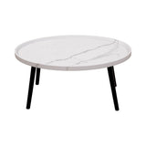 Oval Coffee Table Mid Century Modern Minimalist Display V63-921071