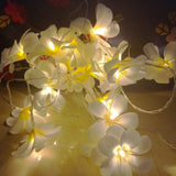 1 Set of 20 LED White Frangipani Flower Battery String Lights Christmas Gift Home Wedding Beach V382-WHFRANGIBATT20