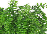 10PCS Artificial Hanging Plants Plastic Persian Fern Vines Fake Greenery Plants for Indoor Outdoor V1294-YM0901-3115240058611
