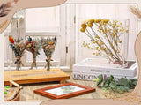 2 Pcs 8'' x 10'' Acrylic Shadow Boxes Display, Shadow Box DIY Frame Clear Acrylic Display V1258-DP02-C-2267