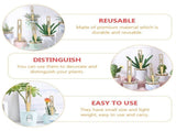 Gardeners Labels Garden Wood Khaki 12Pcs 10X1In V1369-AZ3-W-18398