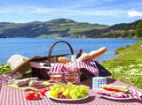 Picnic blanket waterproof picnic beach carpet pattern V1263-JX-1897