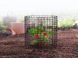 6 Pack Plant Protector from Animals, 320mm Dia. x 355mm H Chicken Wire Plant Protector, Plant Cages V952-QBWZCL14YCHS4N9UIV0