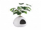 i.Pet Cat Litter Box Hidden Litter Tray Enclosure Planter Furniture House White PET-CLB-PLANT-WH