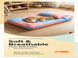 Three piece set of four season warm pet tatami pillows,Extra Large Purple Yellow V1363-PS-02-YELLOW