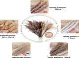 120 Pcs Dried Pampas Grass 17 Inch White Pompas Bouquet Fluffy Dry Pompous Bunny Tails Flower Small V1188-WTJ-SJH-1113