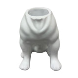 Urban Attitude Maggie Bulldog Planter - Matte White V398-UA-TH669WHT