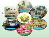 Full Spectrum LED Plant Grow Light with Telescopic Stand, Angel Ring Design, Dimmable Timer & V1341-ZY-76TZSDPE-3PCS-L