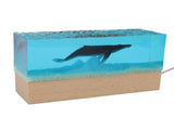 Night Light Simulated Marine Landscape USB Powered White Lighting Multi Purpose Decorative Ambient V1294-YM0901-3119250009611