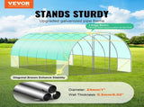 Walk-in Tunnel Greenhouse, 19.4x9.7x7.4 ft Hoop House Greenhouse Tunnel, Plant Hot House with V952-SDXWS20X10X7C44VZV0