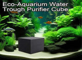 Cubes Purificateurs of Water for Abreuvoir a Chevaux V1237-MS-626-212