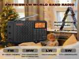 Stereo Digital Portable Radio Black V1142-OBA1005007345224299