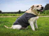 Dog Jacket, Skin-Friendly Dog Calming Vest - Dog Shirt for Thunder, Fireworks and Separation - Keep V1189-WXFWAL-20260319-01200