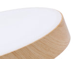 Modern LED Ceiling Light Minimalist Round Ceiling Lamp Fixture with Remote 3 Color Temperature V1294-YM0901-3119240144811