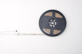 RGBCCT LED Strip 24W/roll 785LM/roll Remote control V1099-BR-SL24DBS  20PCS