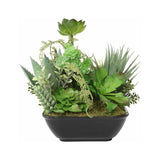 Set 2 Asst Potted Artificial Succulents 19cm V637-05059SUC