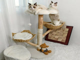 Real Wood Cat Tree Tower in Natural Wood for Indoor Cats Up to 10KG, 60x111cm V178-59364