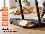 Everfit 3 in 1 Walking Pad Treadmill 12% Incline Foldable Under Desk Treadmills for Home Gym With TMILL-380H-2INC-L-BK