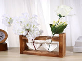 2Pcs Coffee Glass Vase with Wooden Stand Hydroponic Plant Planter for Home Decor and Storage V1369-AZ3-W-15886