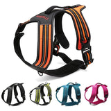 True Love Heavy Duty Sports Dog Harness - Blue, XL ZAP-TLH5551-20