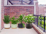 9 Inch Pots, Modern Cylinder Planters with Drainage Holes & Saucers x80x93 Indoor & Outdoor V1366-AZ2-W-16408