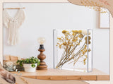 2 Pcs 8'' x 10'' Acrylic Shadow Boxes Display, Shadow Box DIY Frame Clear Acrylic Display V1258-DP02-C-2267