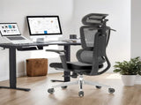 High back ergonomic mesh office chair V957-MS-1363-HIG