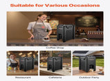 Insulated Beverage Dispenser, 5 Gal/19L Hot and Cold Beverage Server with Spigot & Handle, V952-YLHLQQHS5JLFVR6ST001V0