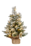 Christabelle 2ft Christmas Tree with Lights - Potted Frosted Colonial 112_NATFC2
