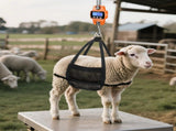 660lb Digital Hanging Scale, Handheld 300Kg Mini Crane Scale with Hooks for Farm Hunting Fishing V1192-AZ-W-3901