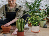 HOOWIFFY Chocolate Red Clay Flower Pot Tray for Indoor Outdoor Use 5Pcs V1189-WXFWAL-20260326-02674