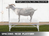 Livestock Stand 51x23 inches, Trimming Stand with Straight Head Piece, Goat Trimming Stand Metal V952-YYZJJSCDLZBS00001V0