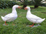 Garden Decoration Synthetic Resin Animal Ornament, Non-Toxic and Safe Duck Statue, Flexible V1370-AZ4-11304