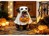 Halloween Dog Candy Bowl Decoration, Cute Dog Figurine with Candy Dish, Freestanding Halloween Trick V1369-AZ3-W-21692
