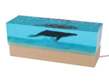 Night Light Simulated Marine Landscape USB Powered White Lighting Multi Purpose Decorative Ambient V1294-YM0901-3119250009611