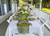 10 Pack Sage Green Cheesecloth Table Runner 10FT Boho Gauze Fabric Table Runner Vintage Rustic Sheer V1258-DP02-C-350
