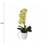 40cm Butterfly Artificial Orchid Cream V637-DP1018501