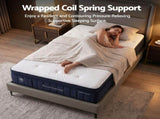 RoomSense Queen Mattress, 34cm Thick Medium Firm Hybrid Mattress for Back Pain Relief, Tencel XFKF-MA-1666-34-Q
