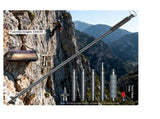 Hiking Pole Detachable Lightweight for Hiking Stick Walking Pole for Man Women Hiking Stick Walking V1192-AZ-W-3156
